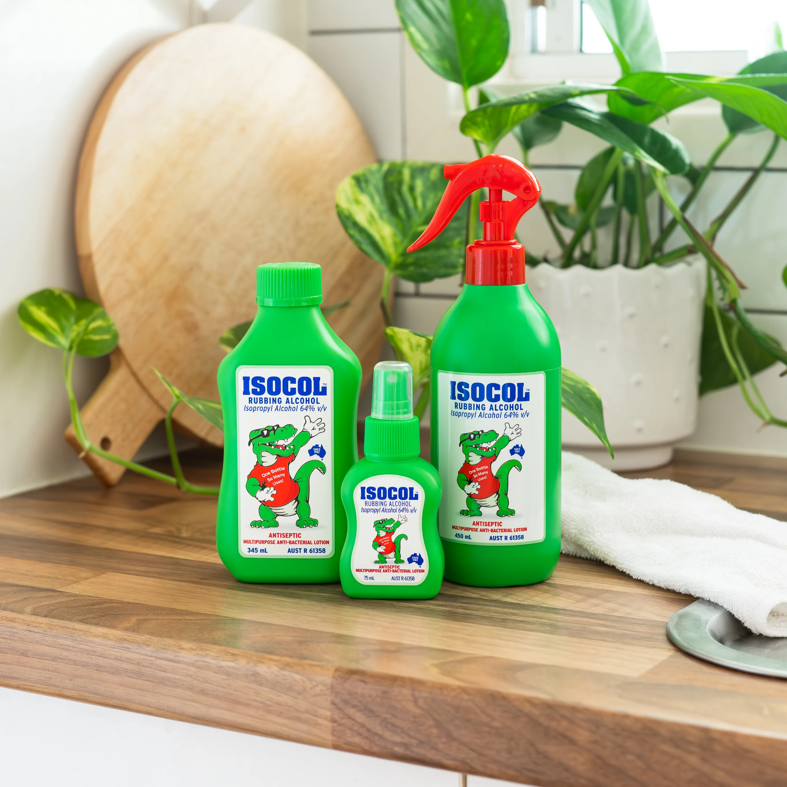Antiseptic Spray 450ml