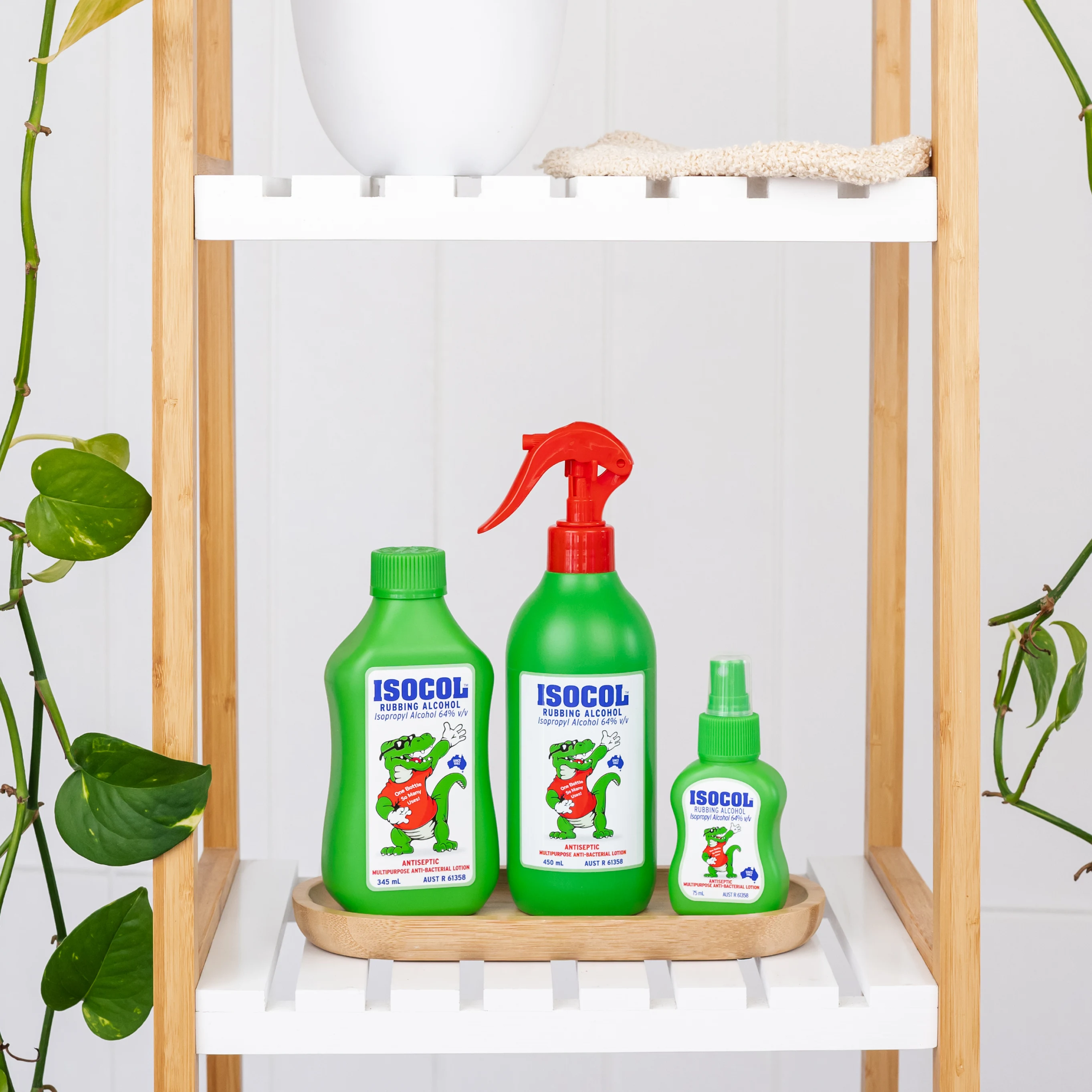 Antiseptic Spray 450ml